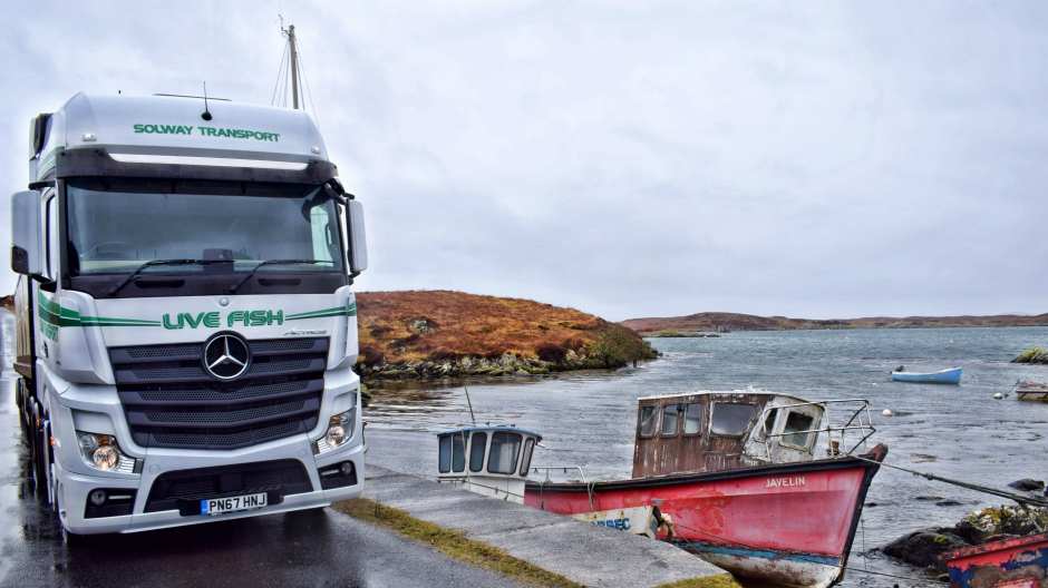 an actros transports precious cargo live fish 940 03